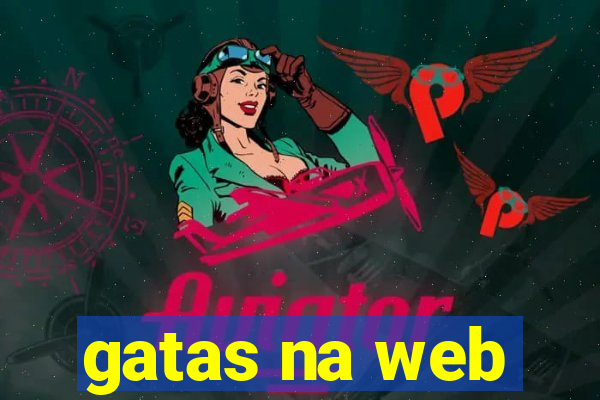 gatas na web